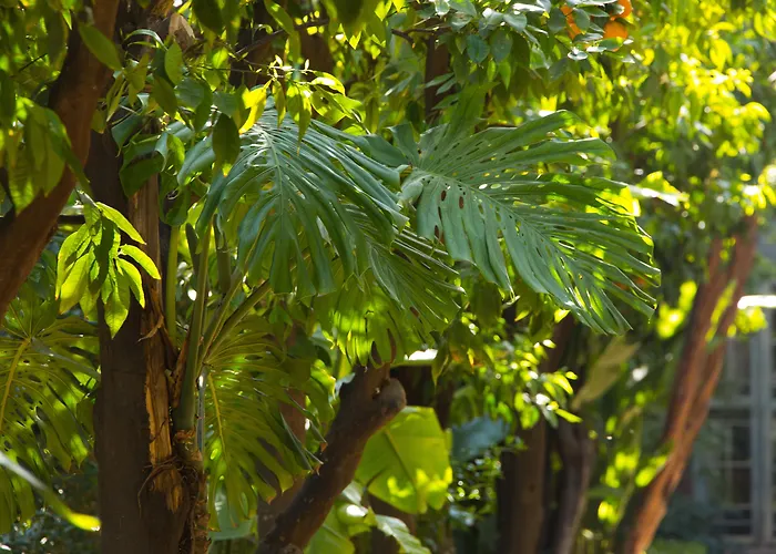 Les Jardins De La MédinaHotel Marrakech